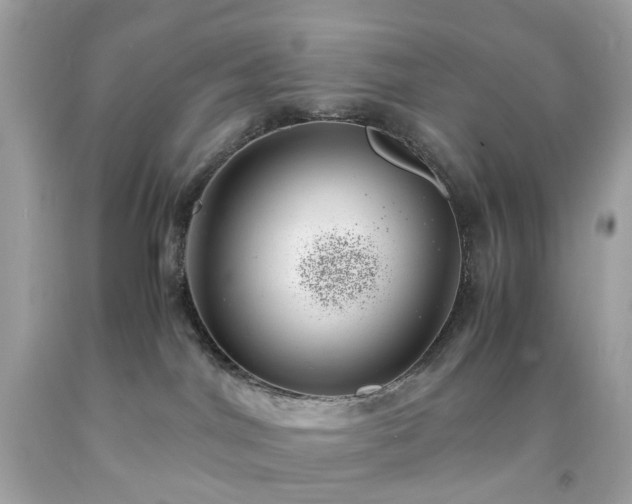 X0000091940044200709121628