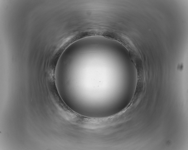 X0000091940045200709121628