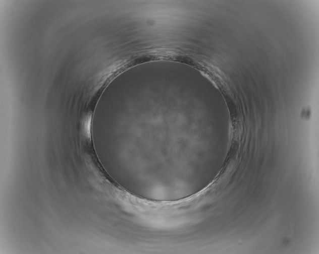 X0000091940047200709121628