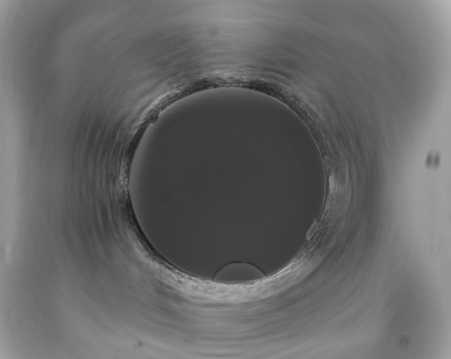 X0000091940048200709121628