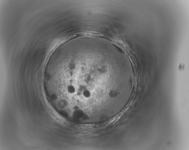 X0000091940049200709121627