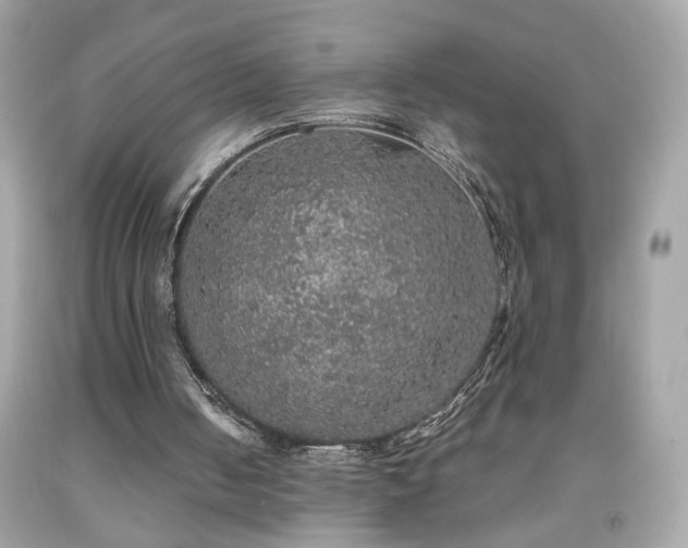 X0000091940050200709121627