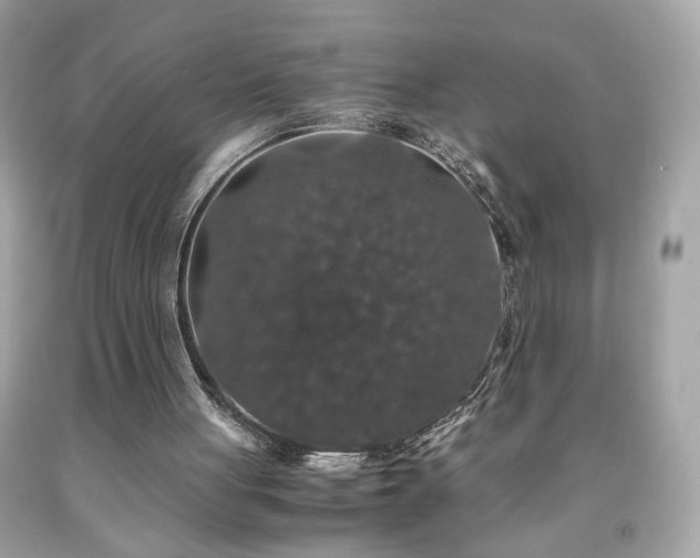 X0000091940051200709121627