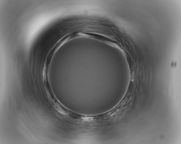 X0000091940052200709121627