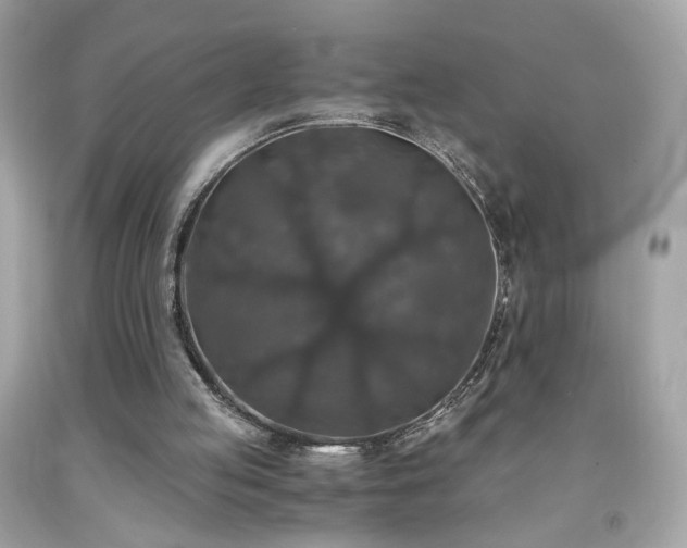 X0000091940053200709121627