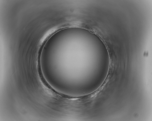 X0000091940054200709121627