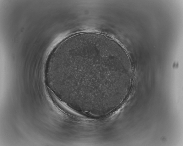 X0000091940055200709121627