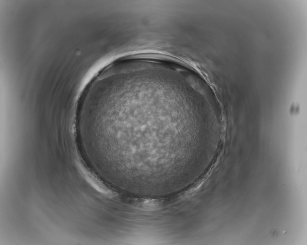 X0000091940056200709121627