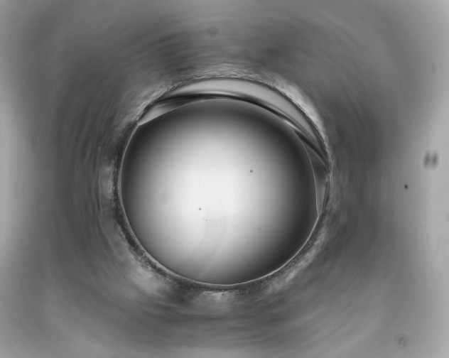 X0000091940057200709121627