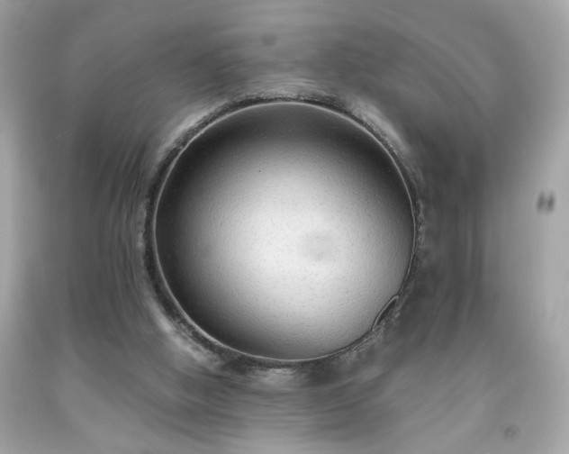 X0000091940058200709121627