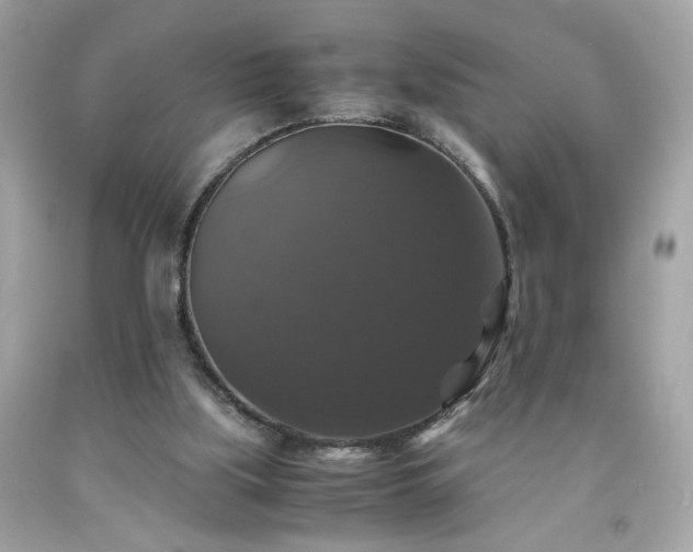 X0000091940059200709121627