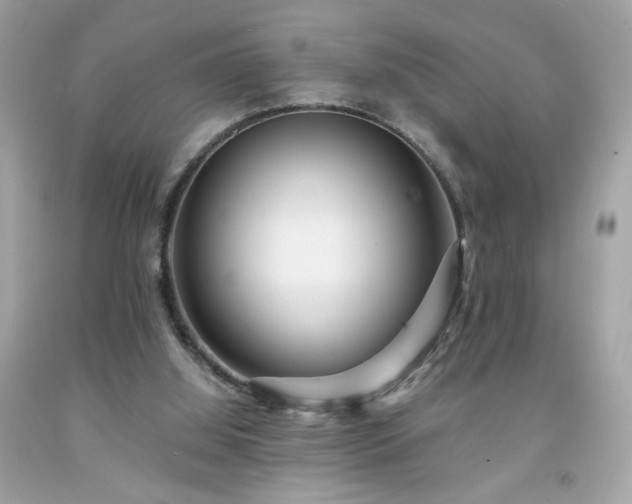 X0000091940060200709121627