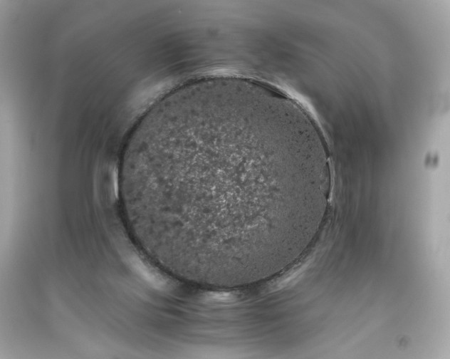 X0000091940061200709121627