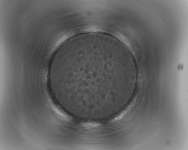 X0000091940063200709121627