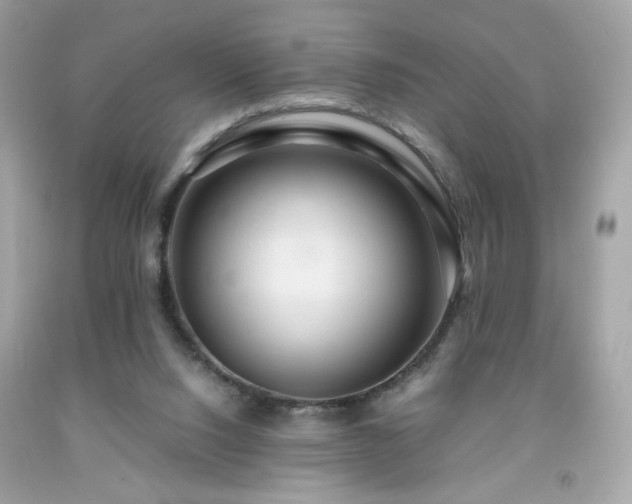 X0000091940064200709121627