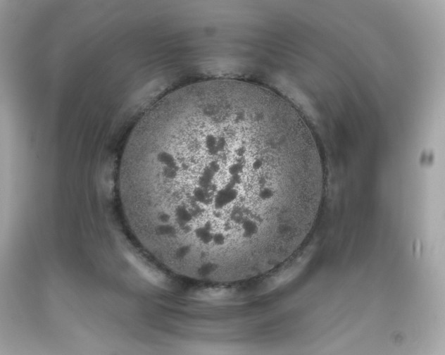 X0000091940065200709121627