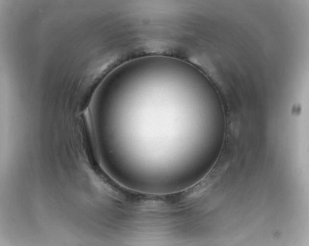 X0000091940066200709121627