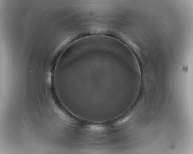 X0000091940067200709121627