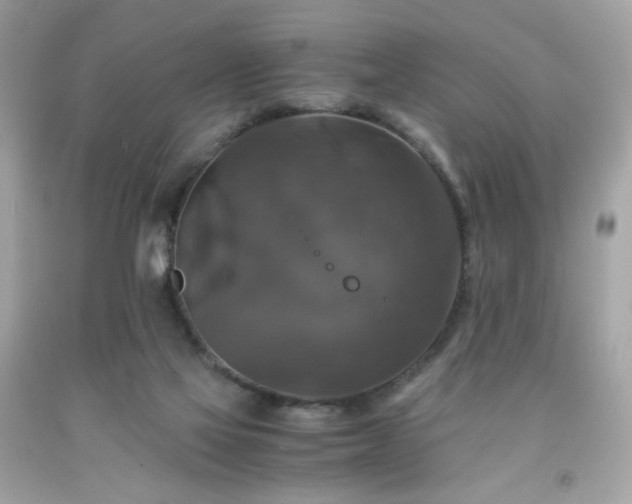 X0000091940069200709121627