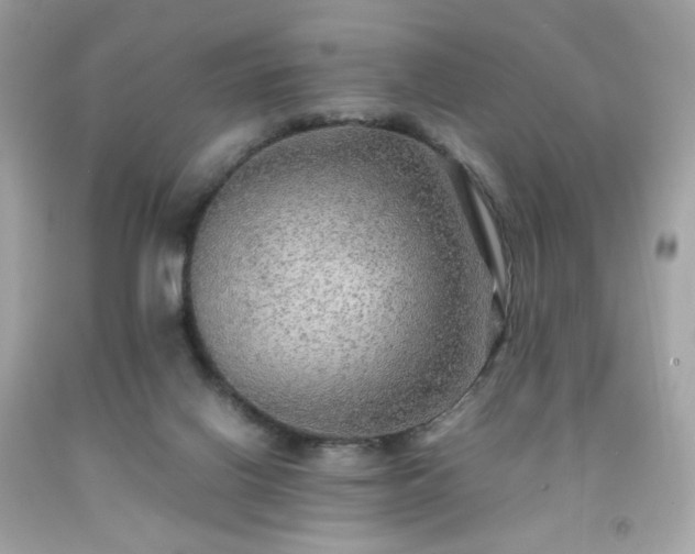 X0000091940070200709121627