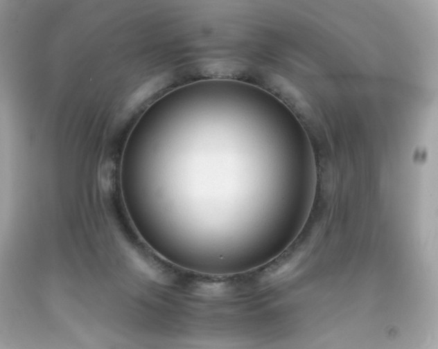 X0000091940071200709121627