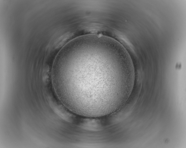 X0000091940073200709121627