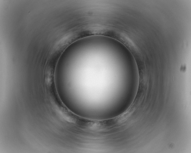 X0000091940074200709121627