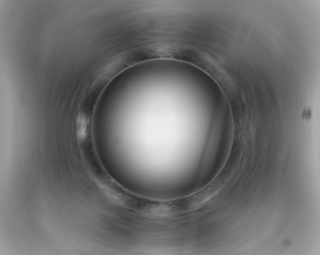 X0000091940075200709121627