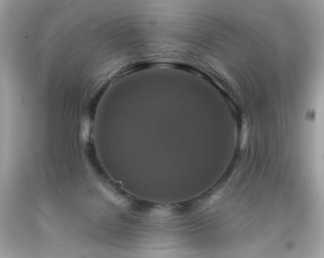 X0000091940076200709121627