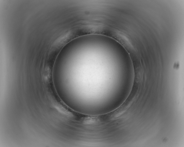 X0000091940077200709121627