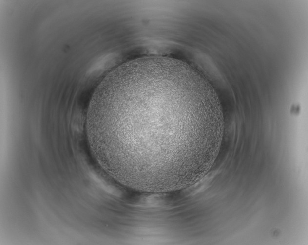 X0000091940078200709121627