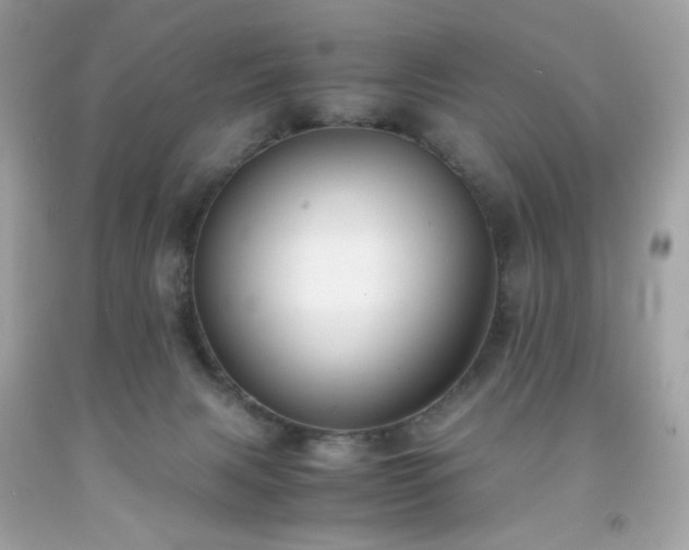 X0000091940079200709121627