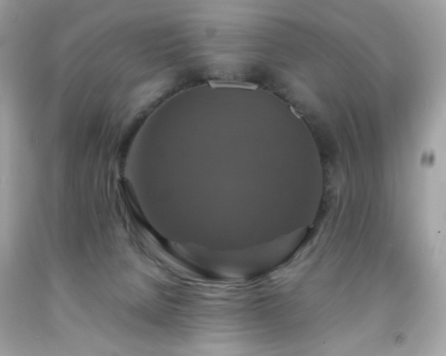 X0000091940080200709121627