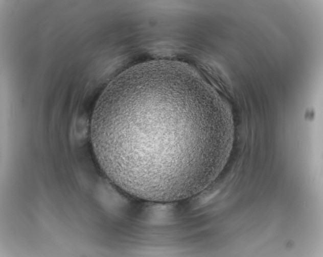 X0000091940081200709121627