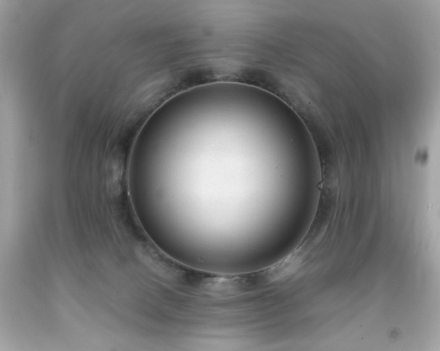 X0000091940082200709121627