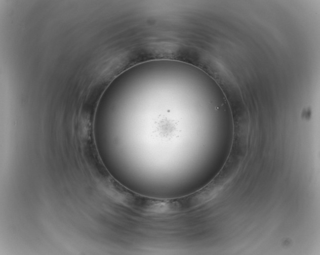 X0000091940083200709121627