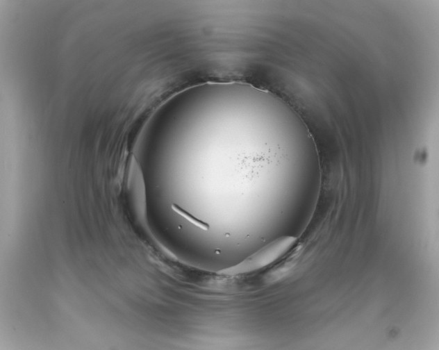 X0000091940084200709121627