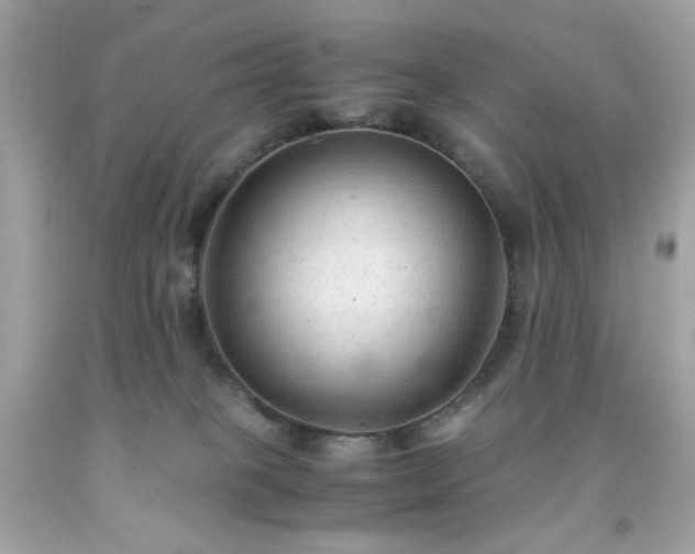 X0000091940085200709121627