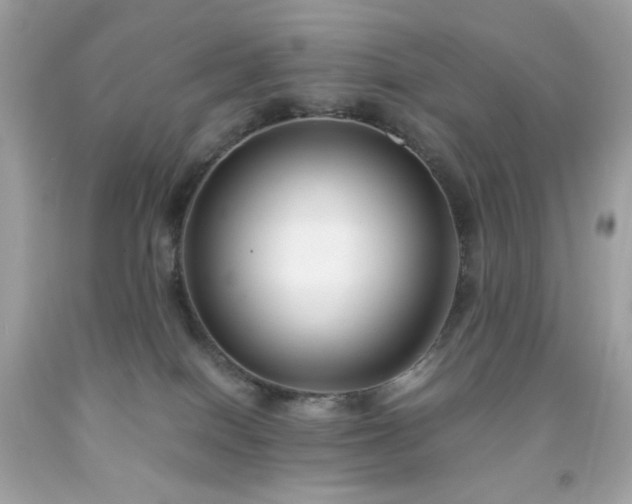 X0000091940086200709121627