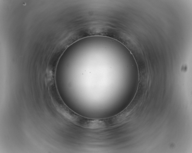 X0000091940087200709121627