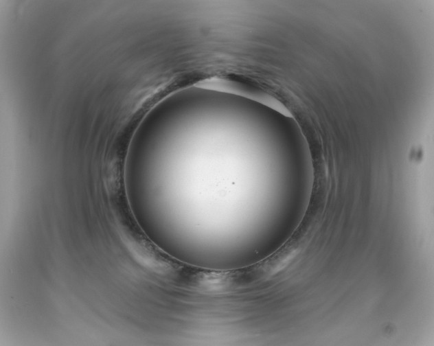 X0000091940088200709121627