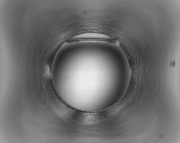 X0000091940089200709121628