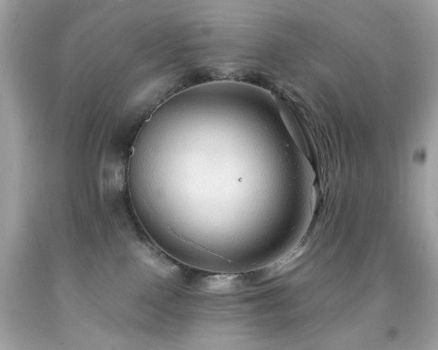 X0000091940090200709121628