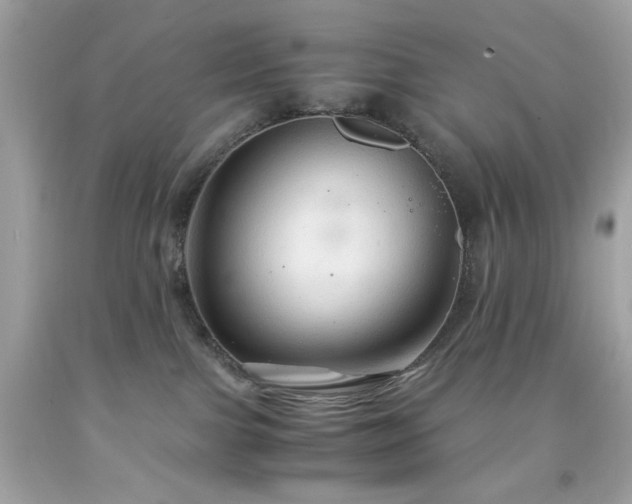 X0000091940091200709121628