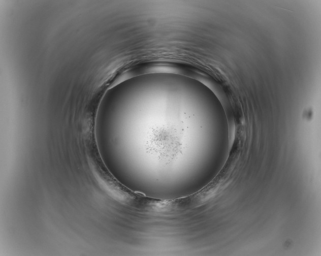 X0000091940092200709121628