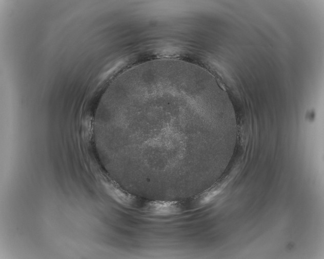 X0000091940093200709121628