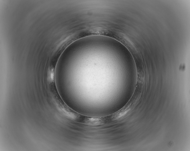 X0000091940095200709121628