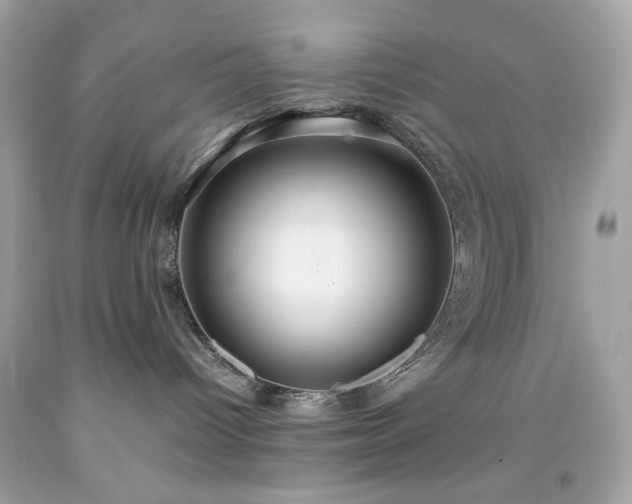 X0000091940096200709121628