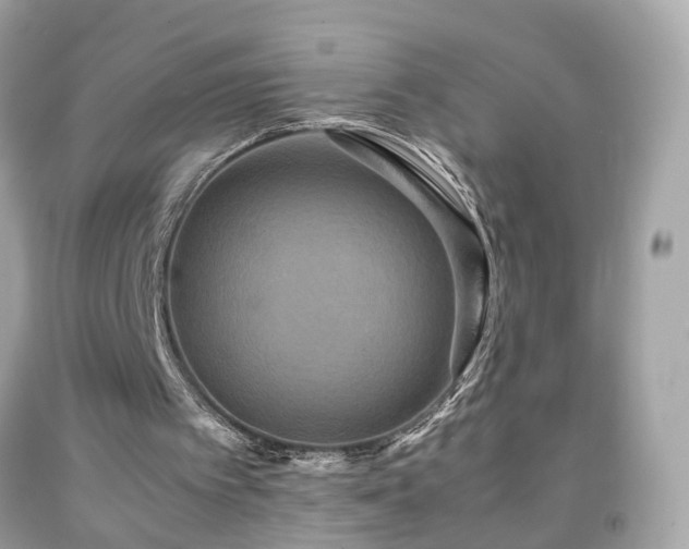 X0000091940097200709121627