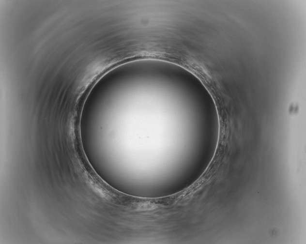 X0000091940098200709121627